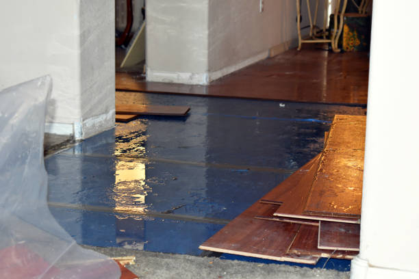 Professional Sewage Cleanup technician working in Sterling, OH